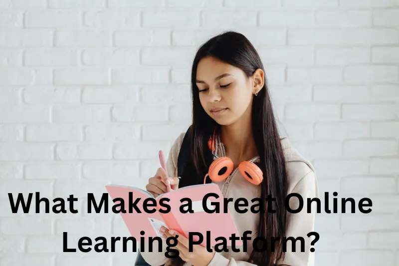 What Makes a Great Online Learning Platform?